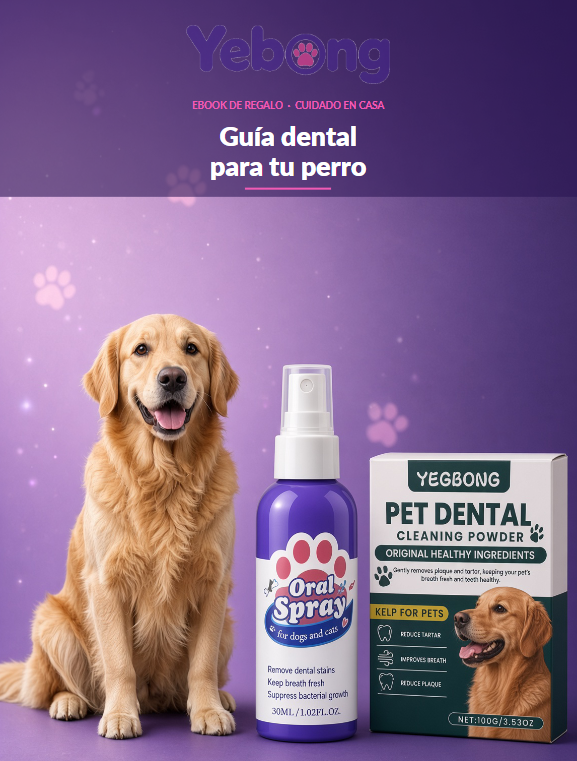 Guía dental