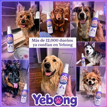 Spray Dental Para Perros y Gatos
